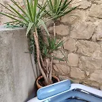 Garden Living Room, Cozy Apartmán